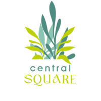 Brownfields - Central Square